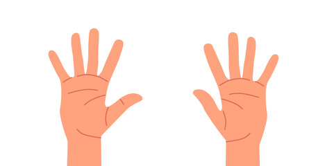 Human Hands, Open Empty Palms, Fingers Education for Kids . Little, Ring, Middle, Index and Thumb Fingers, Body Parts