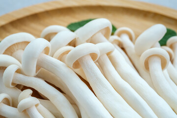 Shimeji white beech mushrooms - obrazy, fototapety, plakaty