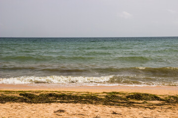 a Sea of Azov landscape with dirty from algae shore after storm, Ukraine