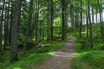 Fototapeta na wymiar An Torr to Signal Rock hiking trail in Glencoe Scotland