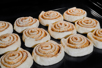 Twelve uncooked cinnamon buns baking on tray in electric oven - close up view. Homemade bakery, food, cooking, pastry and semi-finished products concept