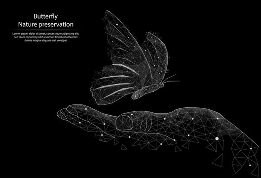 Abstract image Butterfly and hand in the form of lines and dots, consisting of triangles and geometric shapes. 3D Low poly vector background. Nature protection. Black and white image