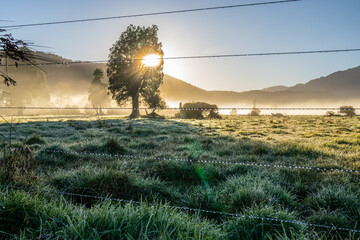 New Zealand rural sunrise landscape
