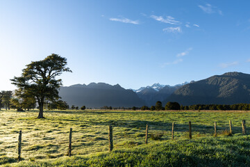 Mountains backdrop to New Zealand rural sunrise landscape
