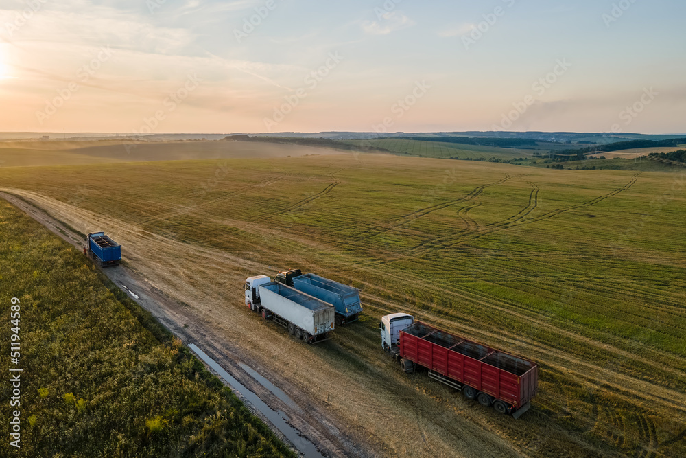 Wall mural Aerial view of cargo truck driving on dirt road between agricultural wheat fields making lot of dust. Transportation of grain after being harvested by combine harvester during harvesting season