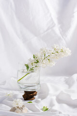 White lilac in a glass standing on cuts of wood and on a stone on a white fabric. Vertical view