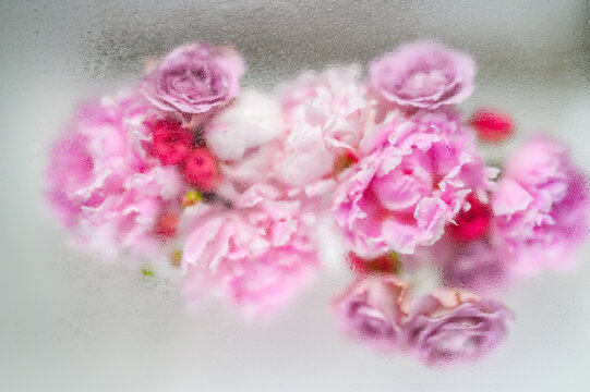 Abstract flower bouquet background under water drops