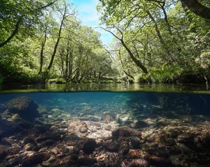Fotobehang Wild river with clear water under trees foliage, split level view over and under water surface, Spain, Galicia, Pontevedra province, Rio Verdugo © dam