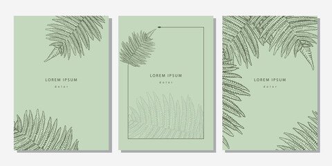 Set of tropical templates with linear fern texture. Light green botanical backgrounds with leaves © Morena