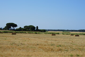 Tuscany
