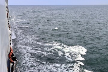 Stern waves with white foam tips on greyish blue sea water, photo taken from aboard ship. Selective focus
