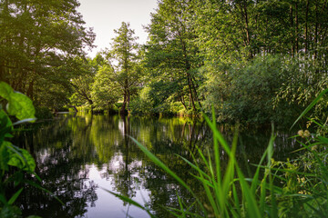 Fototapeta na wymiar Rural landscape, river among green meadows 
