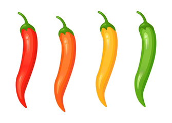 Hot spicy level with flame pepper. Infographic design template with red hot chili pepper on white background. Vector illustration