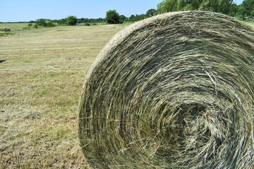 Hay Bale