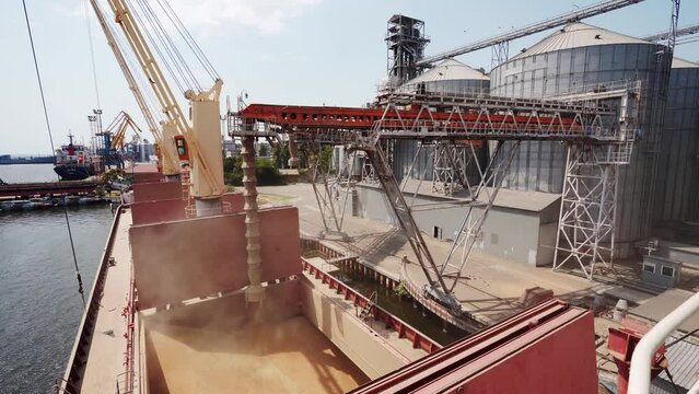 Grain loading to bulker ship cargo container at sea grain terminal in seaport. Wheat shipment from silos to bulk vessel via trunk at sea port. Transportation of agricultural harvest commodities.