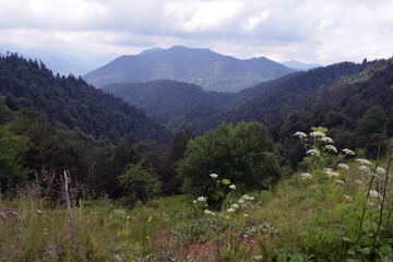 Fototapeta na wymiar landscape in the mountains, Yedigöller, Turkey