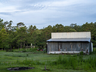 Fototapeta na wymiar Old abandoned barn in the dense forest of southeastern Texas.