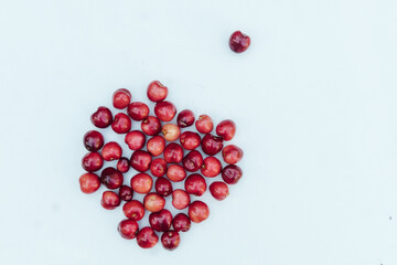 Red cherries isolated on a white background. Juicy red cherries berries with water drops copy space. One cherry lies away from the others. The concept of society, relationships, outsiders