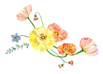 Obraz premium Hand painted watercolor floral bouquet. Iceland Poppies, eucalyptus and blue flowers illustration isolated on white background.