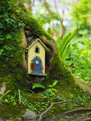 Yellow Leprechaun house with blue door hidden in tree trunk in fairy garden.