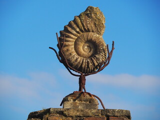 Ammonite - fossil at entrance to Old Head of Kinsale. © Marta Miranka