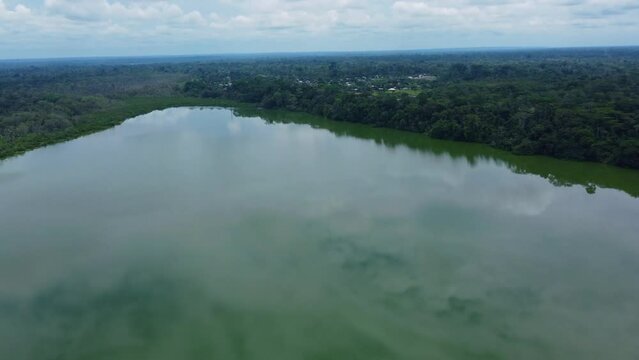 Laguna amazonia