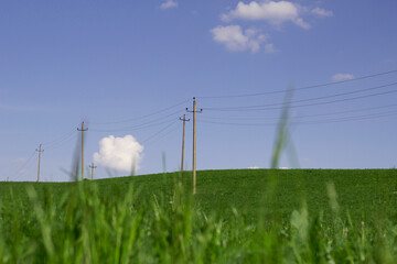 summer landscape with blue sky and power lines in the field