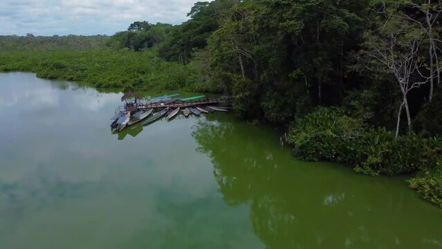 Laguna Limoncocha Ecuador