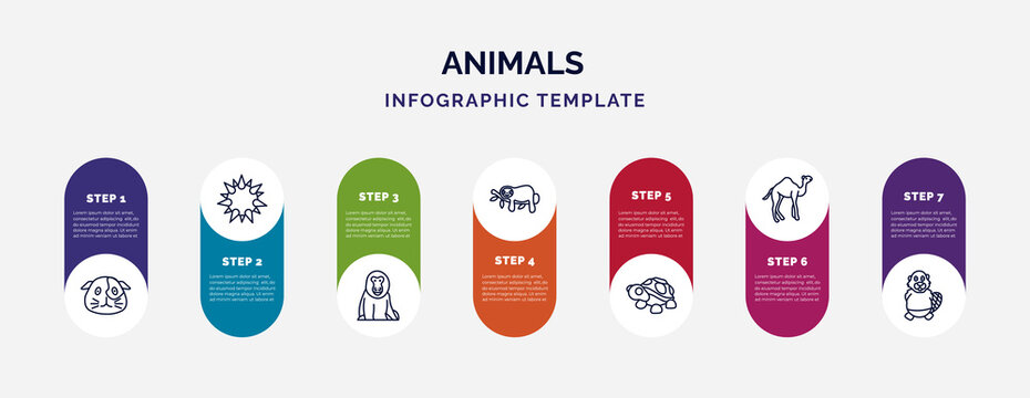 infographic template with icons and 7 options or steps. infographic for animals concept. included guinea pig heag, sea urchin, baboon, sloth, turtle, camel, beaver icons.