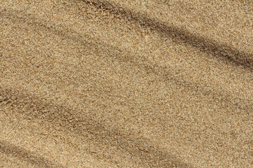 Natural sand texture. Sandy beach background.