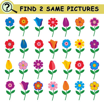 Find same pictures with cartoon simple flowers. Educational logical game for children. Vector illustration.