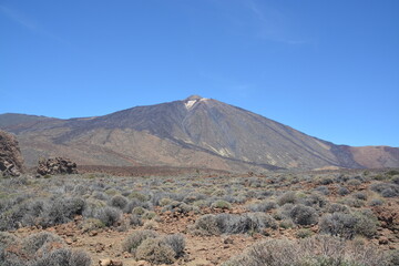 Parque natural del Teide