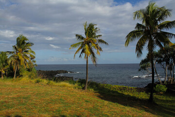 Fototapeta premium View from the seashore