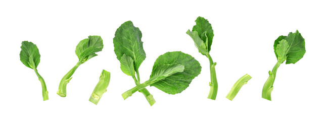 Naklejka na ściany i meble Chinese kale or Kailan or Hong Kong kale isolated on white background. Top view