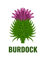 Vector illustration, flat style Burdock flower, isolated on a white background, suitable for labels, medical herbal products and cosmetics.