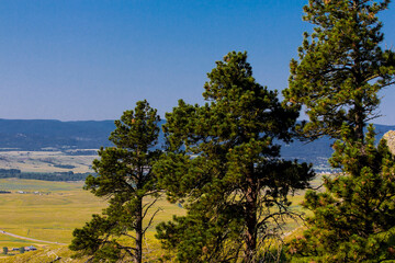 Fototapeta premium Bear Butte State Park in Summer, South Dakota