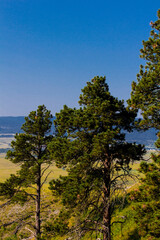 Fototapeta premium Bear Butte State Park in Summer, South Dakota