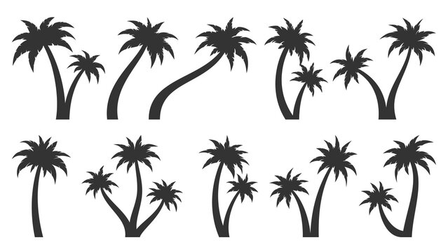 Palm tree tropic plant leaf black silhouette set. Tropical uninhabited island leafy subtropical stamp sticker label various shape. Element postcard travel vacation summer forest isolated on white