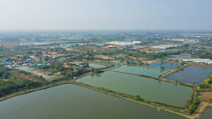 Fototapeta premium Aerial view from flying drone of Fish pond, fish farm 