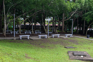 swing in the park
