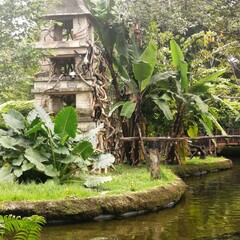 tropical garden
