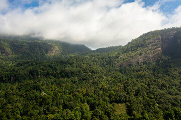 Fototapeta premium Jungle and mountains in Sri Lanka. Mountain slopes with tropical vegetation.