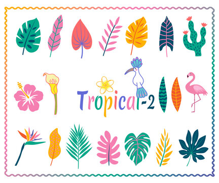 ★tropical-2