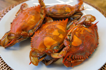 close up of a plate of tasty blue crabs, steamed and ready to eat for lunch or dinner.