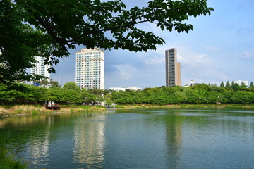 Obraz premium 풍경