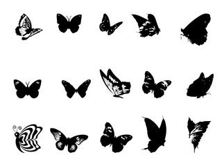 Fototapeta na wymiar Free Butterfly Vector. Butterfly Images. Black Butterfly Silhouette Vector Free Vector Download
