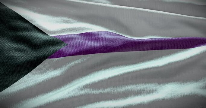 Demisexual symbol motion graphic. Waving flag background 4K