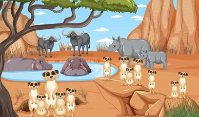 Dryland forest landscape with animals © blueringmedia