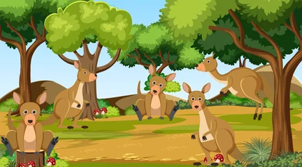 Kangaroos in the forest scene © blueringmedia