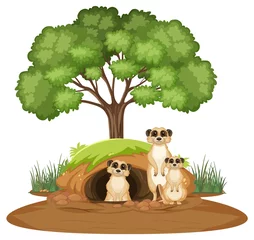 Group of meerkats with burrow in cartoon style © blueringmedia